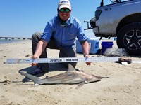 Texas Shark Research Team - Robert Grimsley