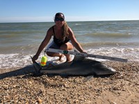 Team JackWagon - Kimberly Collier