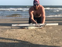 Fat Fish Only - Randall Dunn