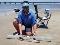 Texas Shark Research Team - Robert Grimsley