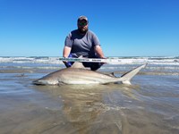 Cast Out Mafia  - Donnie  Tidwell
