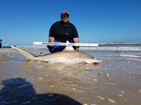 Cast Out Mafia  - Donnie  Tidwell