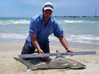 Texas Shark Research Team - Robert Grimsley