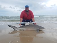 Cast Out Mafia  - Donnie  Tidwell
