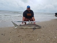 Cast Out Mafia  - Donnie  Tidwell
