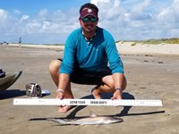 Texas Shark Research Team - Robert Grimsley