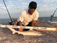 Shark Tribe - Jimmy Limon