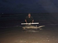 Shark at the Moon - Derik Dark