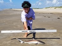 Texas Shark Research Team - Ayden Johnson