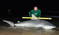 Fishing  Locos  - Jesse Garza
