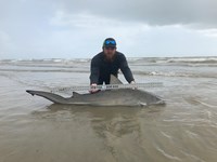 Fat Fish Only - Randall Dunn