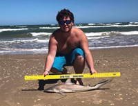 Shark Tribe - Logan Connor