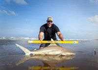 Fishing  Locos  - Mark Cano