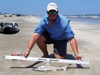 Texas Shark Research Team - Robert Grimsley