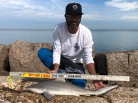 Shark Tribe - Jimmy Limon