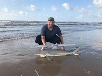 Shark at the Moon - Derik Dark