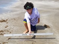 Texas Shark Research Team - Ayden Johnson