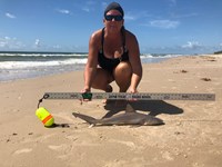 Team JackWagon - Kimberly Collier