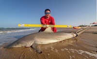 Fishing  Locos  - Jose Zavala