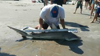 Texas Surf Fishing Nuts - Brian Trackey