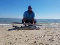 Cast Out Mafia  - Donnie  Tidwell
