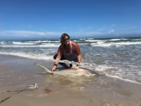 Shark Tribe - Jennifer Merchant