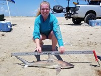 Texas Shark Research Team - Kimberly  Lynch