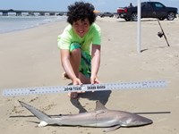 Texas Shark Research Team - Ayden Johnson