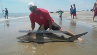 Texas Surf Fishing Nuts - Brian Trackey