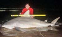 Fishing  Locos  - Jose Zavala