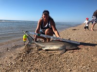 Team JackWagon - Kimberly Collier