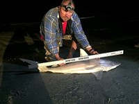 Texas Surf Fishing Nuts - Brian Trackey
