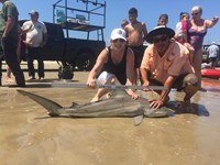Finatical Fishing - Carol Mettlen