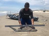 Shark Tribe - Tim Merchant
