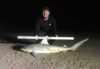 Shark Tribe - Logan Connor