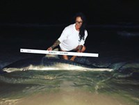 Shark Tribe - Lisa Limon