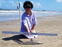 Texas Shark Research Team - Ayden Johnson