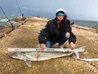 Shark Tribe - Lisa Limon