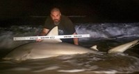 Fishing  Locos  - Jesse Garza