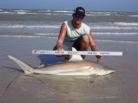 Beach Bandits - Jonathon  Johnson