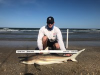 Borpus Bros - Cody Reed