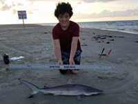 Texas Shark Research Team - Ayden Johnson