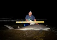 Fishing  Locos  - Jose Zavala