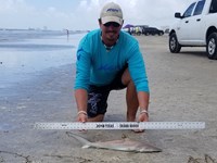 Texas Shark Research Team - Robert Grimsley