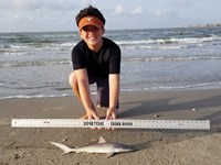 Texas Shark Research Team - Ayden Johnson