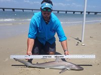 Texas Shark Research Team - Robert Grimsley