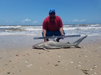 Cast Out Mafia  - Donnie  Tidwell