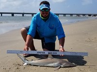 Texas Shark Research Team - Robert Grimsley