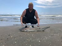 Shark at the Moon - Derik Dark