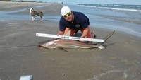 Texas Surf Fishing Nuts - Brian Trackey